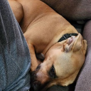 Sugardaddy's server Discord server icon