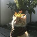 ﹒youka    𓂃 Discord server icon