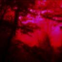 LiteralHav-beta
