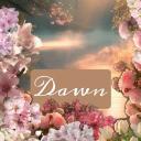 Dawn