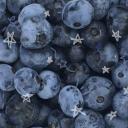 blueberry