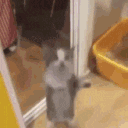 Scary Ghost Clan 👻 SAVE EUROPE!! Discord server icon