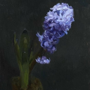 Anguished Peace Discord server icon