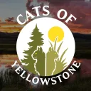 CATS OF YELLOWSTONE … Warriors Roleplay discord icon