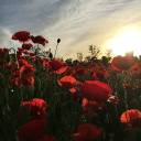 𝐏𝐋𝐀𝐘𝐓𝐈𝐌𝐄™ Discord server icon