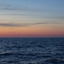 SCP-RP | Azalea Site Discord server icon