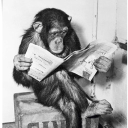 Alcatraz Discord server icon