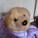 ° 𐂯 𝕋𝕙𝕖 𝔼𝕊𝕊𝔸 𝕂𝕖𝕟𝕟𝕖𝕝 Discord server icon