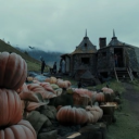 ·༻ 𝒪𝑅𝒩𝐼𝒯𝐻𝒪𝑀𝒜𝒩𝒞𝒴 ༺· Discord server icon