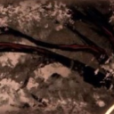 •𝙵𝚎𝚊𝚛 𝙵𝚛𝚎𝚚𝚞𝚎𝚗𝚌𝚢• Discord server icon