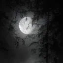 ꒰ Dark Moon  ꒱