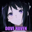 𝐃𝐎𝐕𝐄 𝐇𝐀𝐕𝐄𝐍
