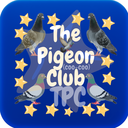 (Currently Inactive) The Pigeon Club