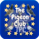 The Pigeon Club discord icon