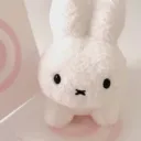 ₊˚𓂃˖𝜗𝜚。       ˚ 𝓶iffys 𝓱abitat