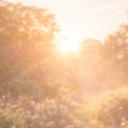 Acrylic Angels 🪽 Discord server icon