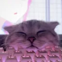 Snooze