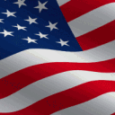 🗽Patriotic Democracy of the Union🇺🇸 Discord server icon