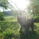 Well, you sent me away