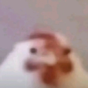 HPTB: Heaven Piercing Trash Busters Discord server icon