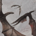 The Song of Dragons Discord server icon