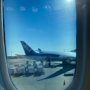 配布マップ建築してくれる人募集 Discord server icon