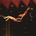 ♠🎪🌈Tᕼᗴ ᒪᘜᗷTᑫ ᑕIᖇᑕᑌՏ🌈🎪♣ Discord server icon