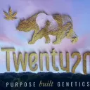 Twenty20_Official