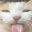 silliest bois [NSFW][𝓯𝓻𝓮𝓪𝓴𝔂]