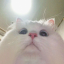 boykissers Discord server icon