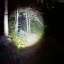 𝒐𝒗𝒆𝒓𝒈𝒓𝒐𝒘𝒏 𝒔𝒊𝒍𝒆𝒏𝒄𝒆 — 𝒂𝒑𝒐𝒄𝒂𝒍𝒚𝒑𝒕𝒊𝒄 𝒉𝒐𝒓𝒓𝒐𝒓 Discord server icon