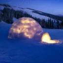 The Inclusive Igloo(dating and friendship)