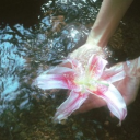 ⟡⋆ The Island of Heart ⋆⟡ Discord server icon