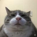 moe Discord server icon