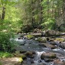 ✧◝ river ◜✧ Discord server icon