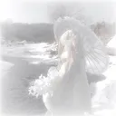 ꒰੭  /everlight  ⸝⸝  𝘀𝘁𝗼𝘅・𝗮𝗻𝗴𝗲𝗹𝗰𝗼𝗿𝗲・𝘀𝗼𝗰𝗶𝗮𝗹・𝗵𝗮𝗻𝗴𝗼𝘂𝘁 ・𝗰𝗵𝗶𝗹𝗹  𐦯