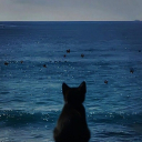 Lunar Circle 🌛 Discord server icon