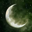 Mossy Moon 21+