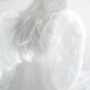 ﹒✧   mively  ! Discord server icon