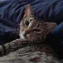 Multiversal Shenanigans Discord server icon