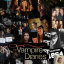 The vampire diaries