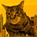 Sammy's Indie-Electro Lounge Server Icon