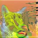 Server Icon