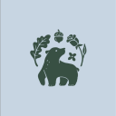 Everwood Hollow Discord server icon