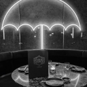 🧊 𝙩h𝙚 𝙞𝙘𝙚𝙗𝙚𝙧g 𝙡𝙤u𝙣g𝙚 | 𝙙𝙘 𝙧𝙤𝙡𝙚p𝙡𝙖y 🌂 Discord server icon