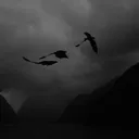 Black Dragon