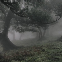 Mari's server 💞 Discord server icon