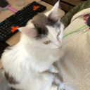 Grace Discord server icon