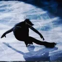 Skating AU