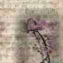 Yumelody Discord server icon